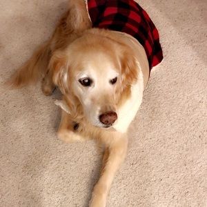 Meet your Posher, Tayah